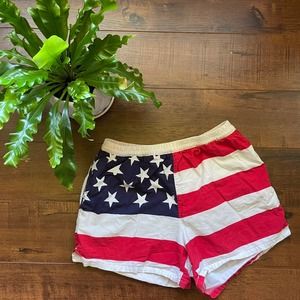 Vintage Polo Ralph American Flag Shorts